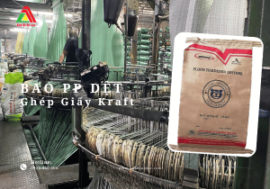 Bao  PP dệt ghép giấy kraft