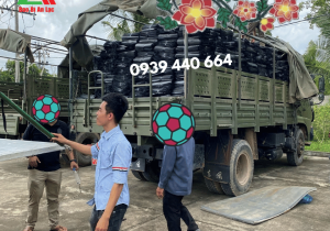 Mua sỉ bao tải dứa tại Đồng Nai