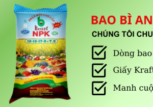 Bao Bì PP Dệt Giá Sỉ - Giải Pháp Tiết Kiệm và Hiệu Quả
