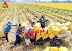 Công ty sản xuất bao đựng lúa Bình Dương