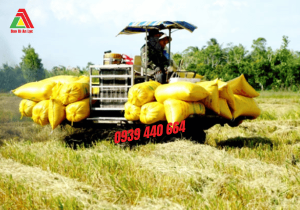 Công ty sản xuất bao đựng lúa TPHCM